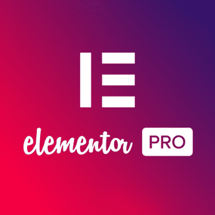Elementor PRO 3.8.0 WordPress pagebuilder