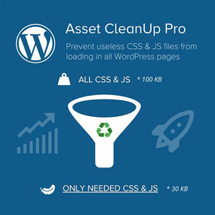 asset cleanup page speed booster pro 623093aa154a9