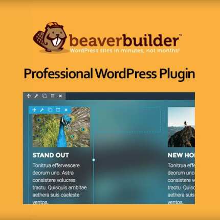 beaver builder professional wordpress plugin 6230a54073958