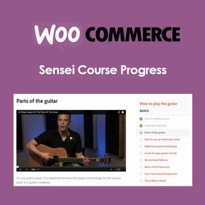 sensei course progress 6230630935a17