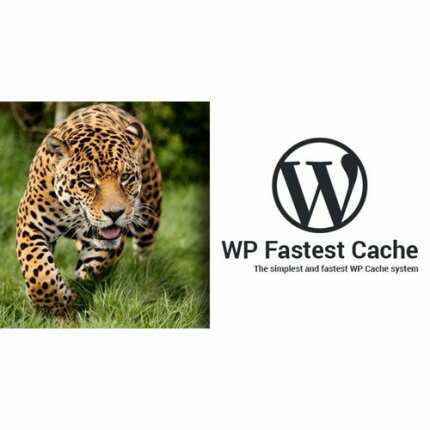 WP Fastest Cache WordPress Plugin Premium